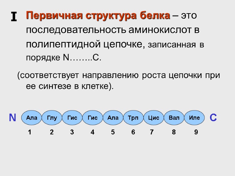 Первичная структура белка – это последовательность аминокислот в полипептидной цепочке, записанная в порядке N……..C.